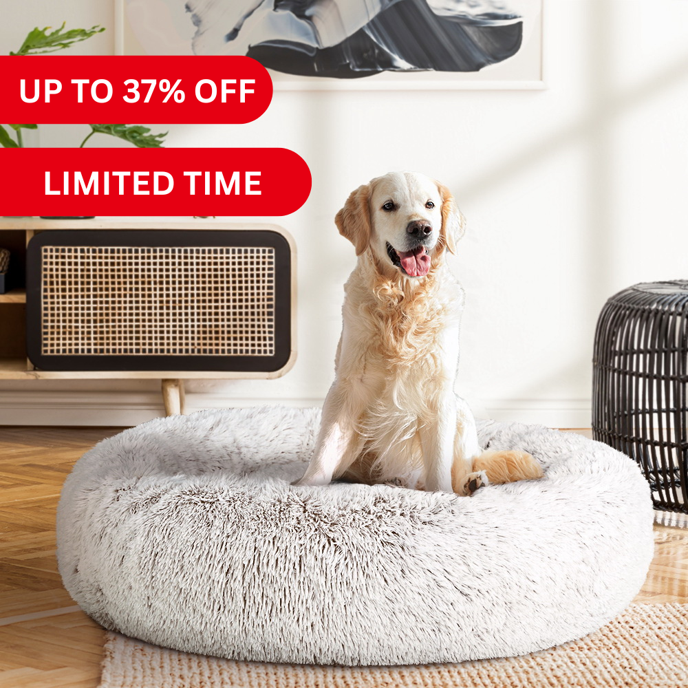 The Cozy Sale